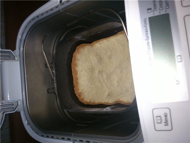 Panasonic Bread Makers Problems and Breakdowns