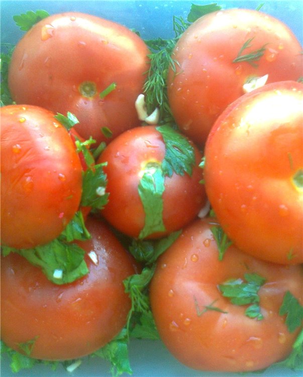 Pepinos y tomates ligeramente salados sin pepinillos