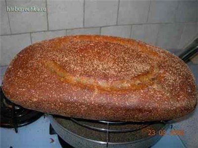 Pan de centeno sobre masa madre de kéfir por el método de fermentación larga.