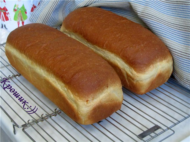 Quick kneaded cheese bread in the oven