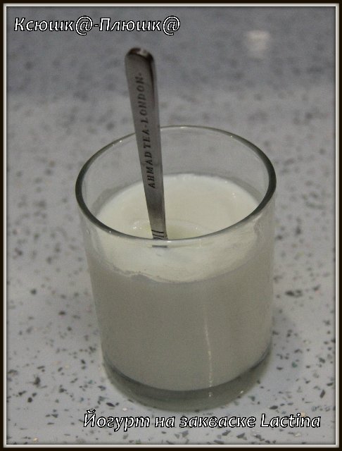 Vraag het aan een expert: alles over zelfgemaakte gefermenteerde melkproducten