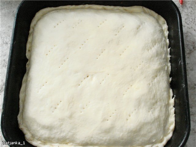 Yeast pie Nonsweet with any filling