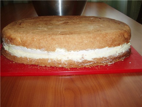 Snijd het koekje in cakes en egaliseer de cake