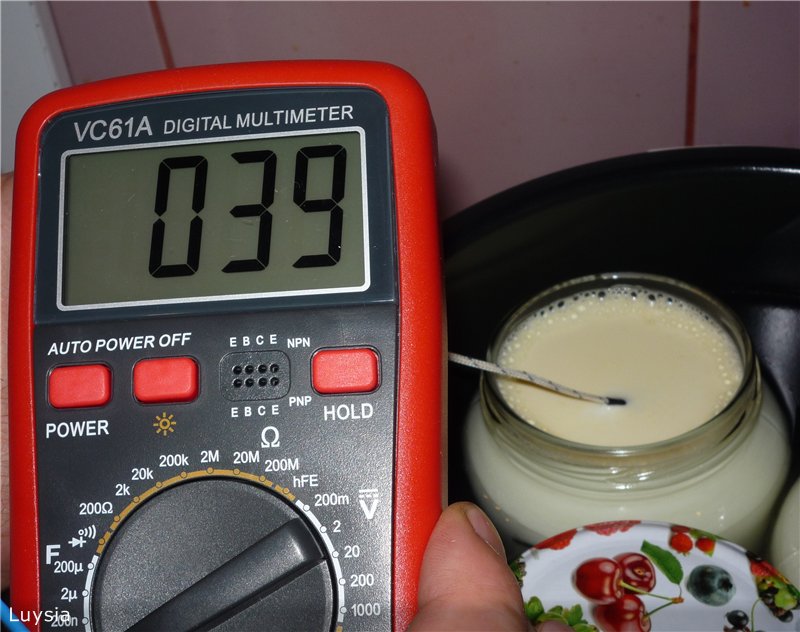 בדיקת תנור לחץ הרב-קוקי המותג 6051