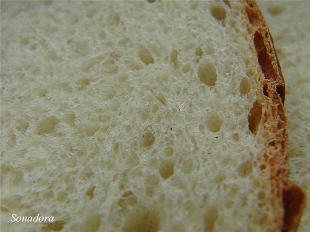 Pan de trigo con miel y requesón (panificadora)