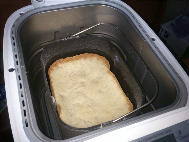 בעיות ותקלות ביצרני לחם של פנסוניק