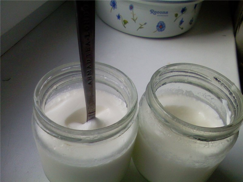 Yoghurt with bacterial starter cultures (narine, VIVO, etc.) (2)
