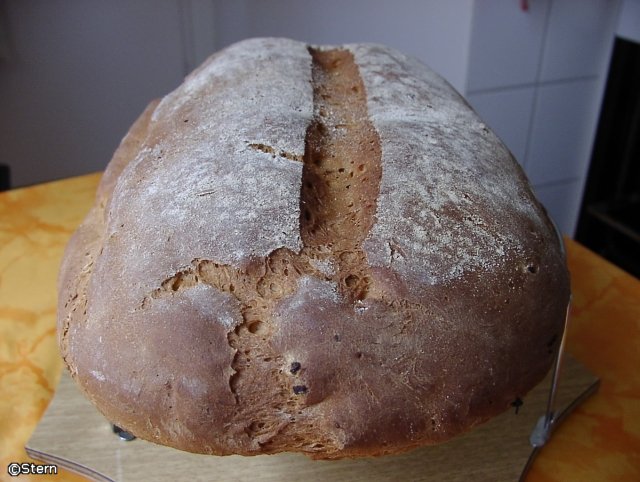 Bagel de pan de trigo y centeno con cebolla (horno)