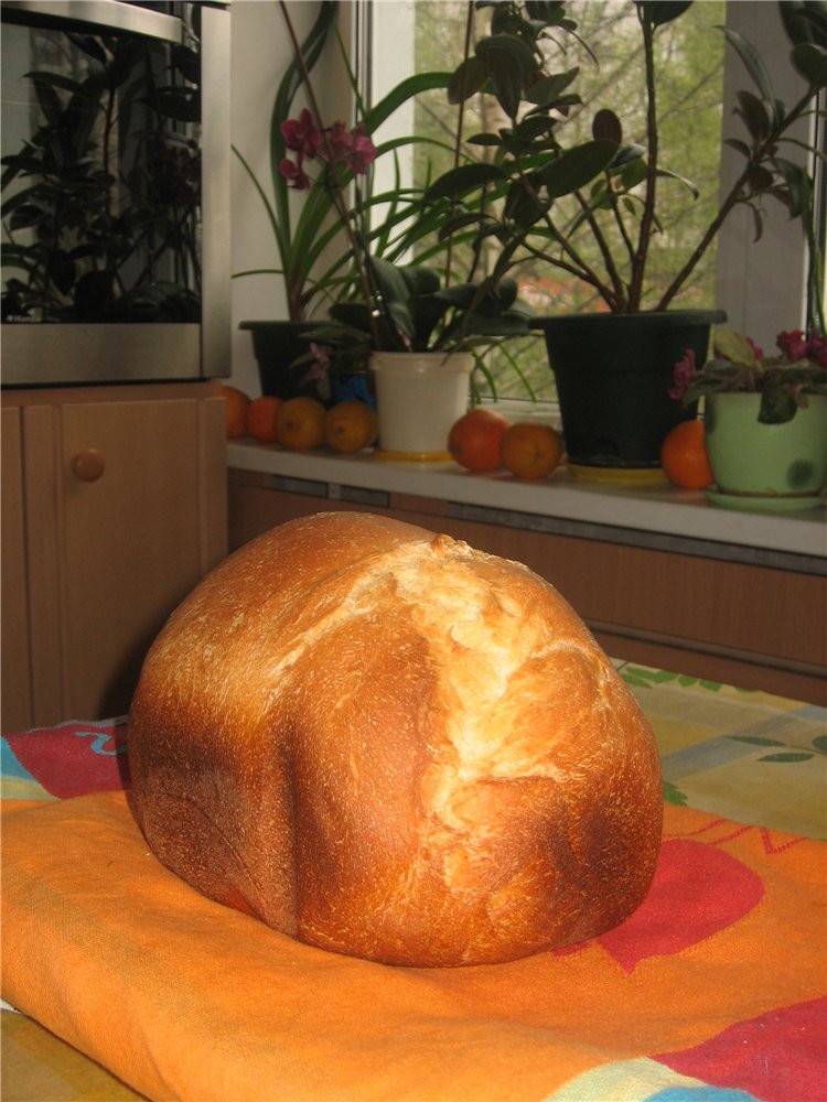 Italian bread with kefir in a bread maker