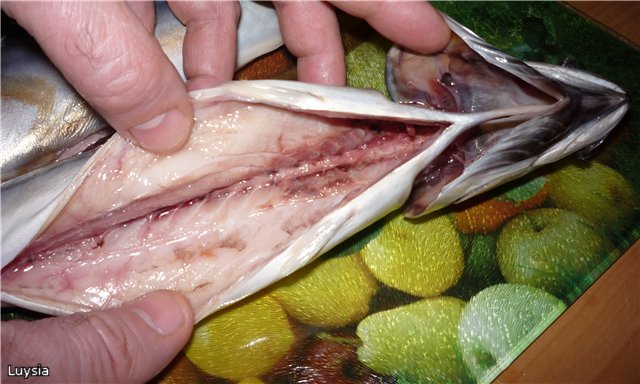 Koudgerookte makreel (droge methode)