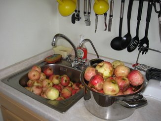 ריבת תפוחים