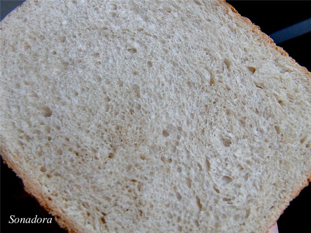 Pane integrale con acqua gassata (metodo della spugna)