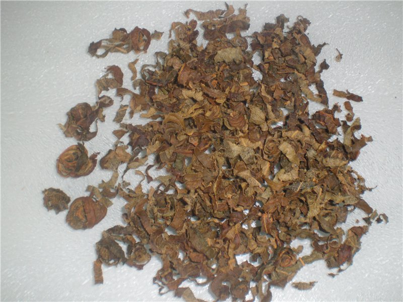 Tè fermentato a base di foglie di giardino e piante selvatiche (master class)