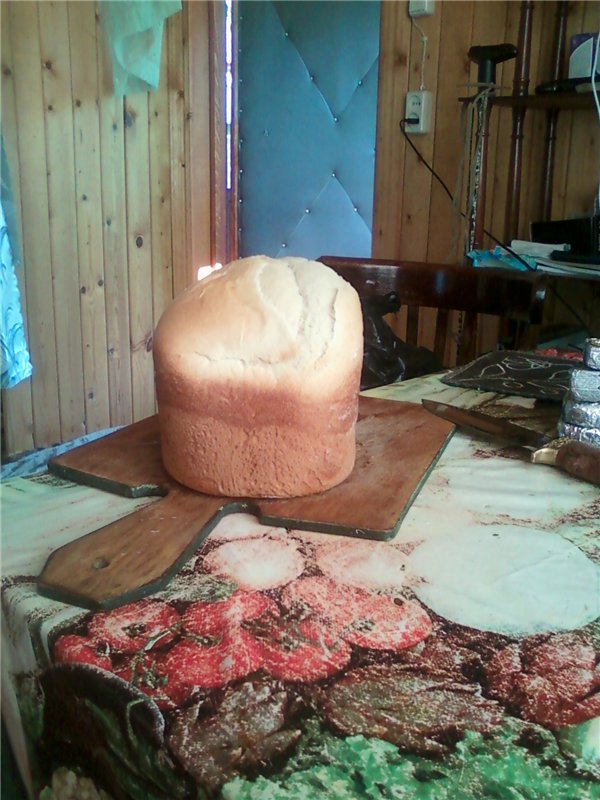 Kefir brood (broodbakmachine)