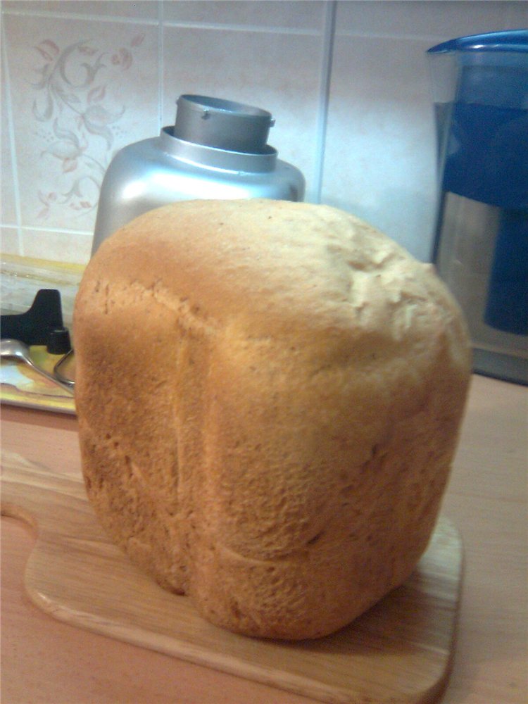 Pane alla contadina con spugna in una macchina per il pane