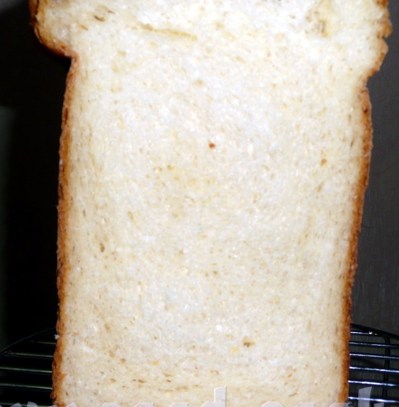 Pan de trigo sobre kéfir con queso en una panificadora