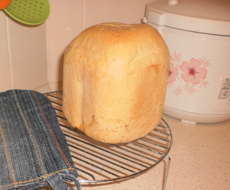 עזרה בבחירת יצרנית לחם