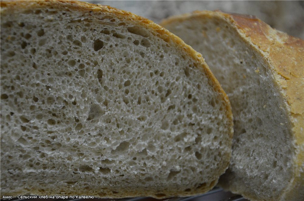 Rustic bread on dough according to Kalvel (oven)