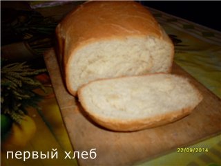 Bread maker Moulinex Uno Metall OW310E30