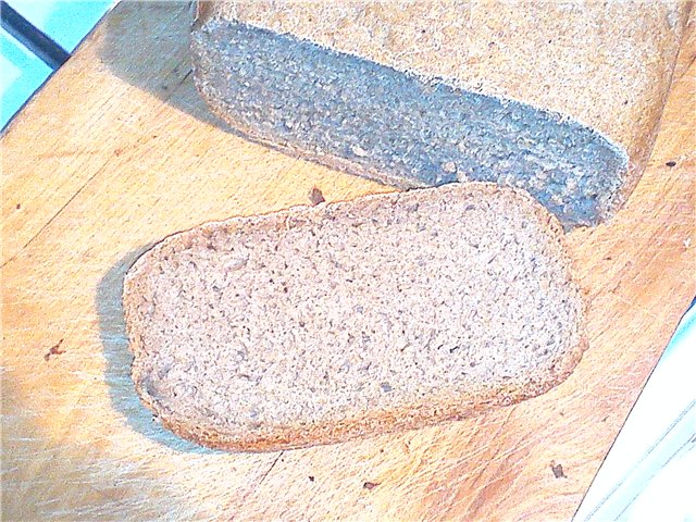 Pane di segale Senza niente (forno, macchina per il pane, pentola a cottura lenta)