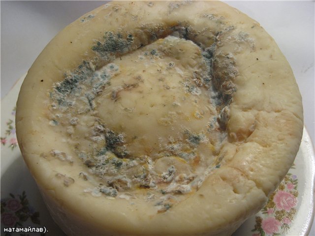 Hard rennet cheese