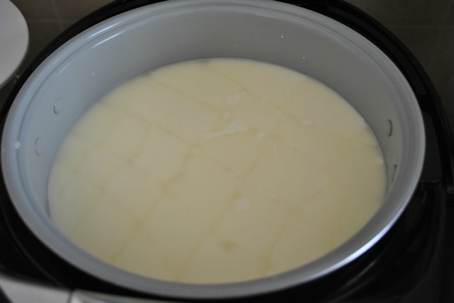 White cheese in a multicooker Polaris 0527D