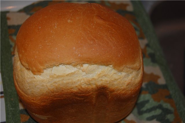 Macchina per il pane in Panasonic SD-256 (part1)