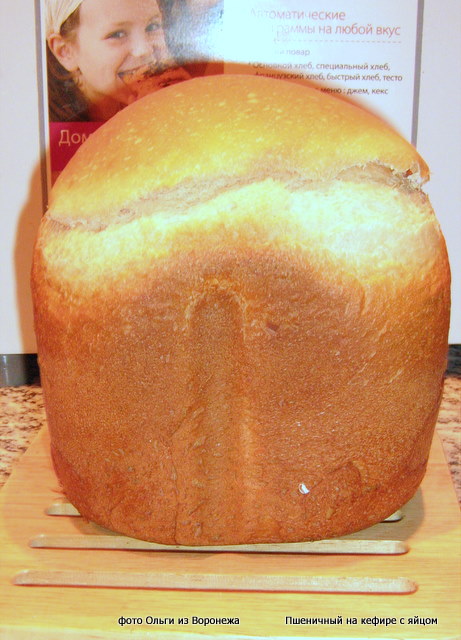Pan de trigo sobre kéfir con huevo en una panificadora