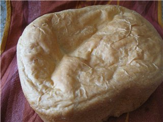 Bork. Kaasbrood in een broodbakmachine