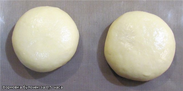 Buns in half an hour (oven)