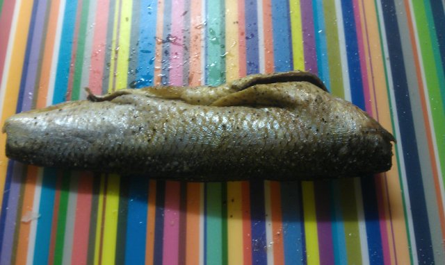 Aringa in salamoia fritta (Eingelegte Bratheringe)