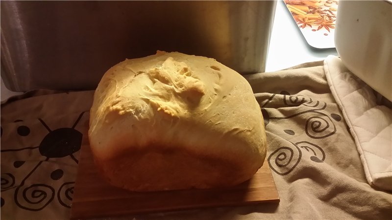 Bread maker Bork X800