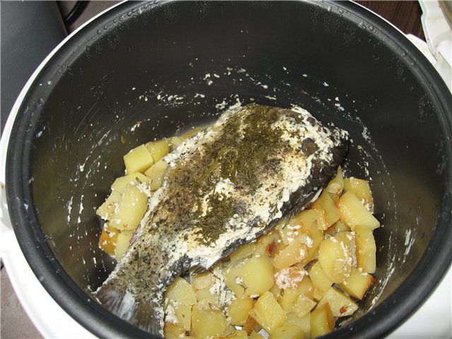 الكارب على وسادة البطاطس (طباخ بطيء)