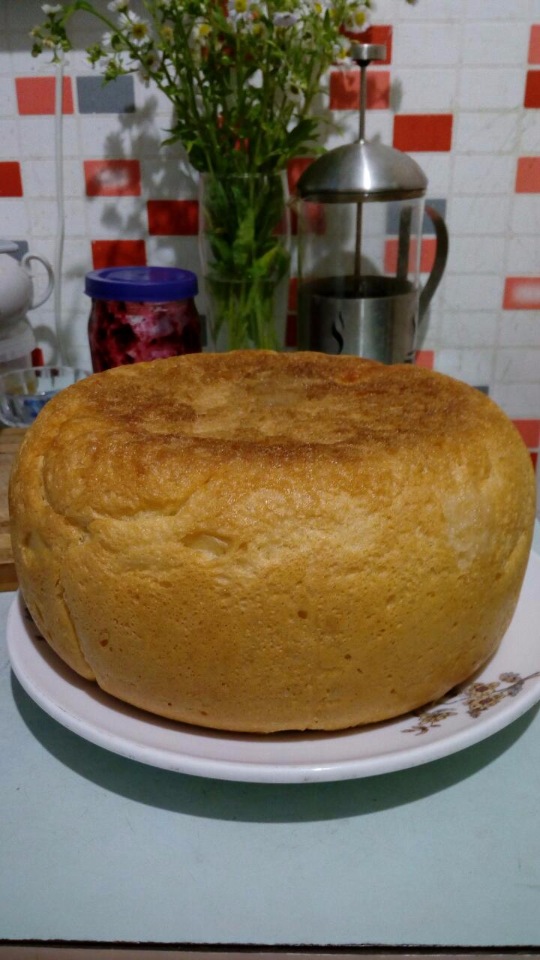 Rustic white bread in a multicooker Polaris 0508D floris
