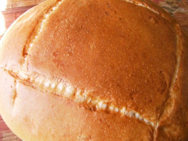 Pain Brie (normann kenyér)