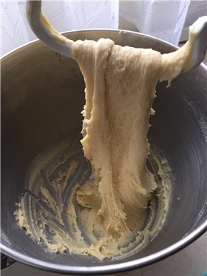 Question to the pros about yeast dough