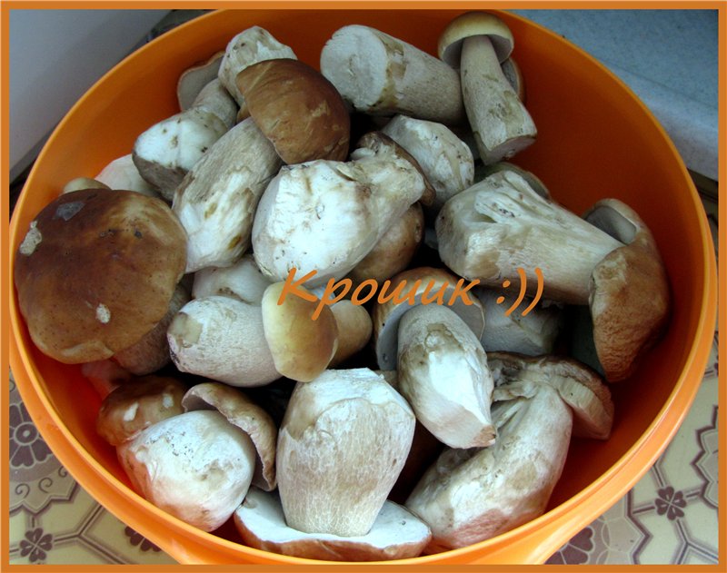 Preparing mushrooms for freezing