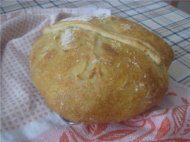 Bread Altamuro (Pane di Altamuro) in the oven