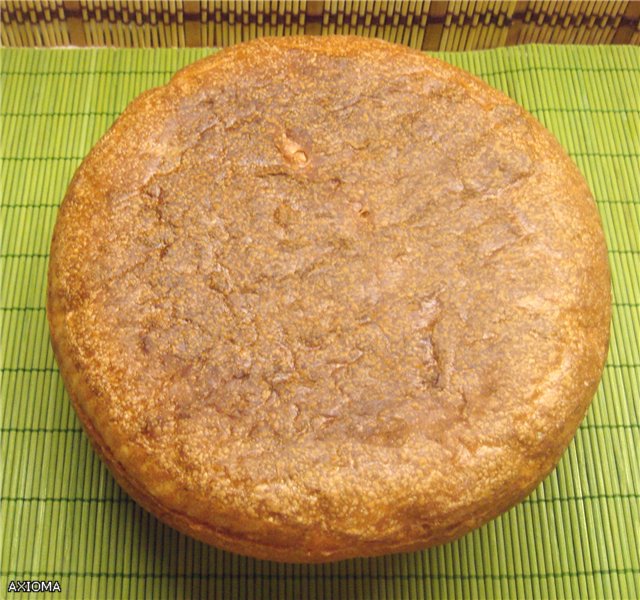 Wit-Russisch brood (oven)