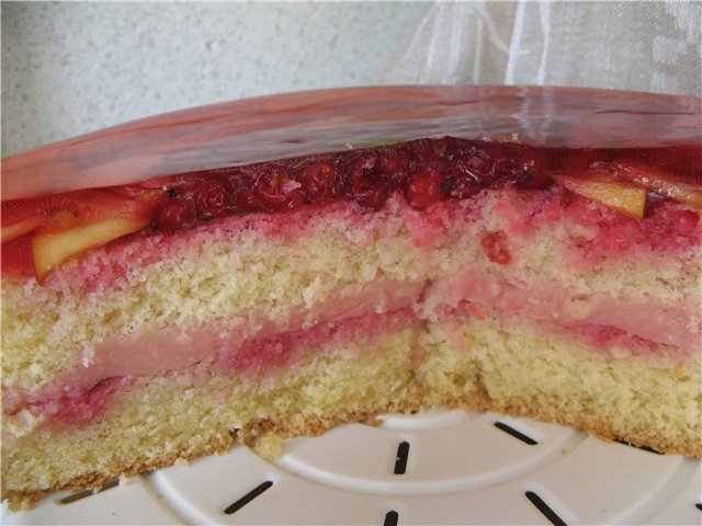Sponge cake with jelly and fruit (Panasonic SR-TMH 18)