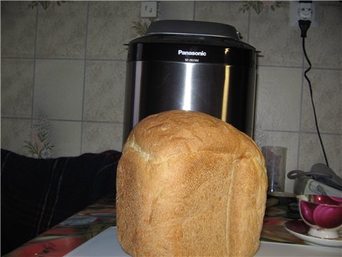 Bread makers Panasonic SD-2500, SD-2501, SD-2502 (3)