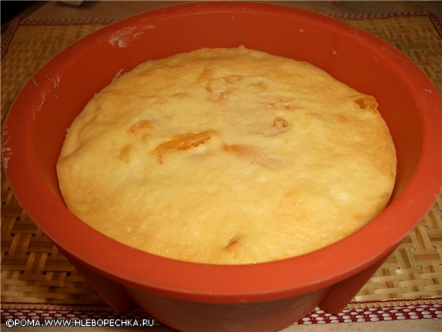 Cottage cheese pudding met gestoomde abrikozen (Cuckoo 1054)