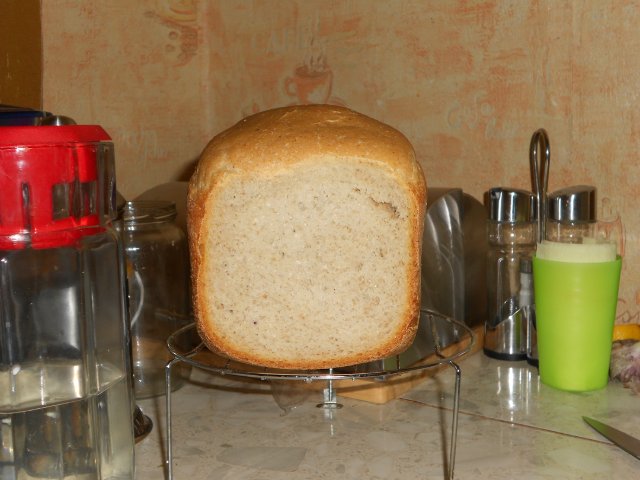 صانع الخبز ماركة 3801. برنامج يدوي - 16