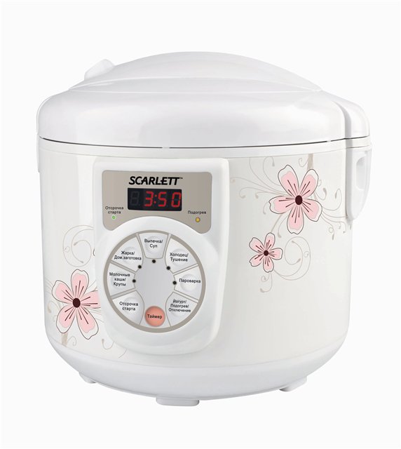 Choosing a slow cooker, pressure cooker, rice cooker (2)