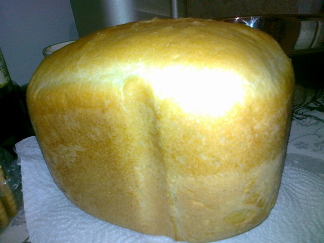 Hooray, bought a Panasonic bread maker! First impressions and reviews