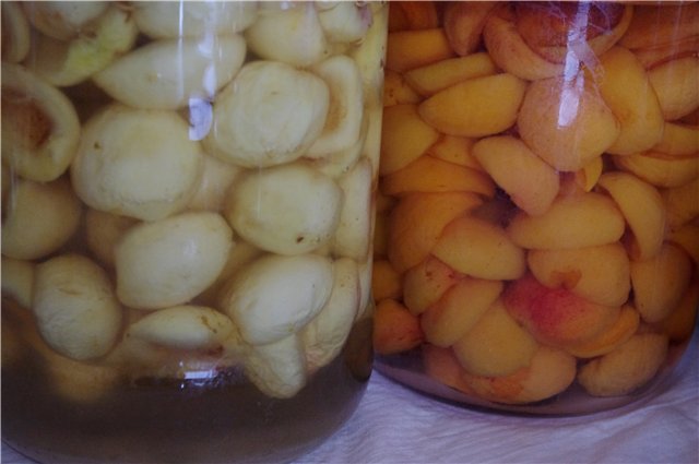 Deserowe suszone śliwki „owoce kandyzowane (owoce glace)” z rumem, anyżem gwiaździstym, cynamonem, różowym pieprzem