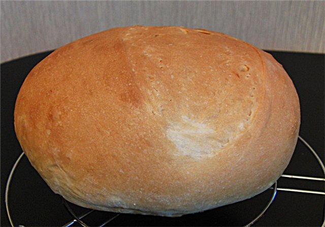 Pan de cuajada de trigo (horno)