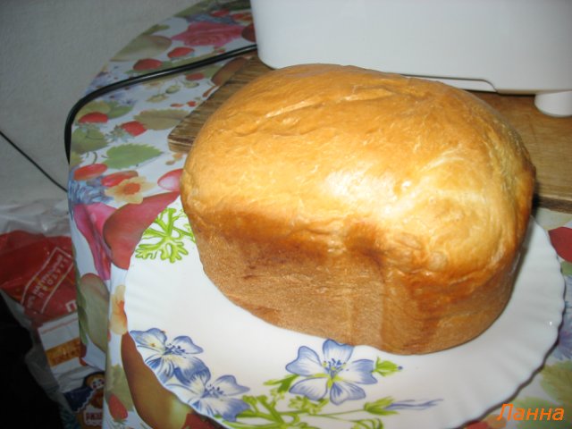 Hurray, bought a Panasonic bread maker! First impressions and reviews