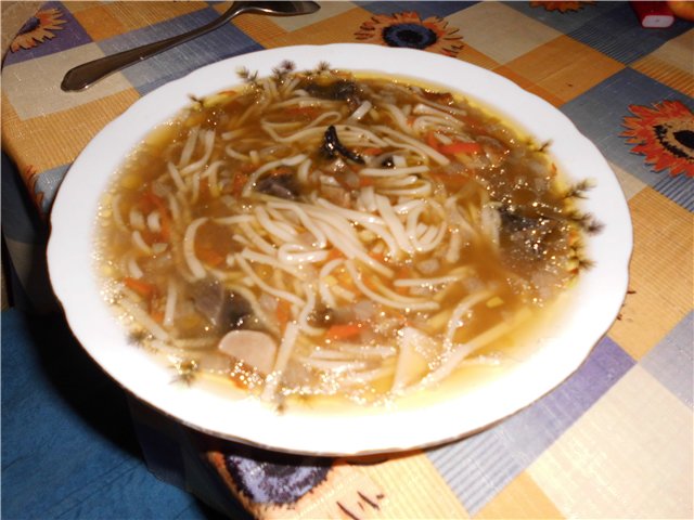 Soup with fresh mushrooms and homemade noodles (Cuckoo 1054)