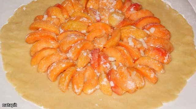 Crostata met abrikozen